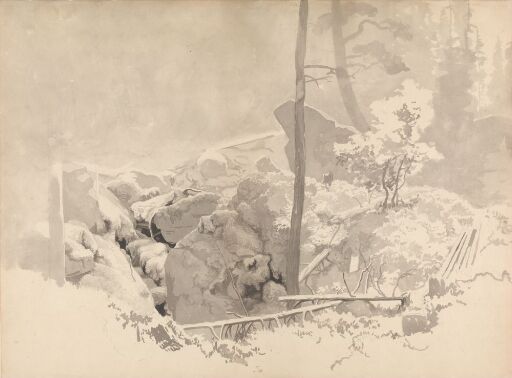 Woodland Scene