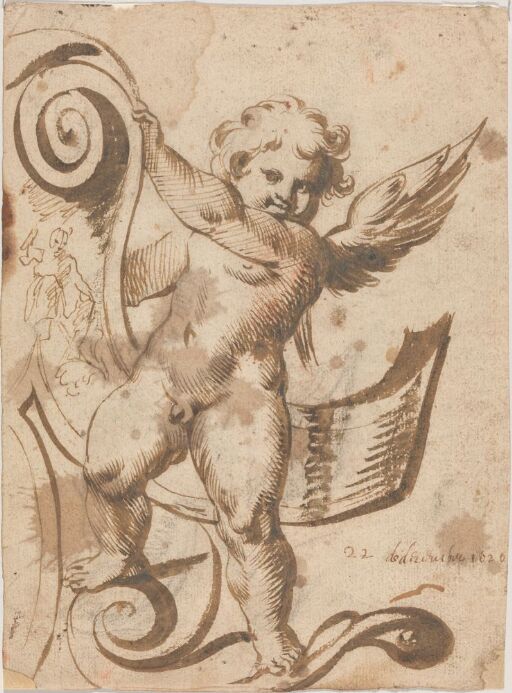 Putto