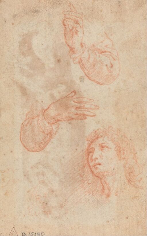 Studies of two arms and a head