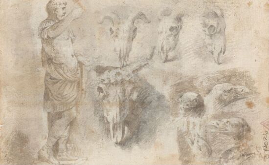 Emperor Statue, Animal Skulls and Bird Heads