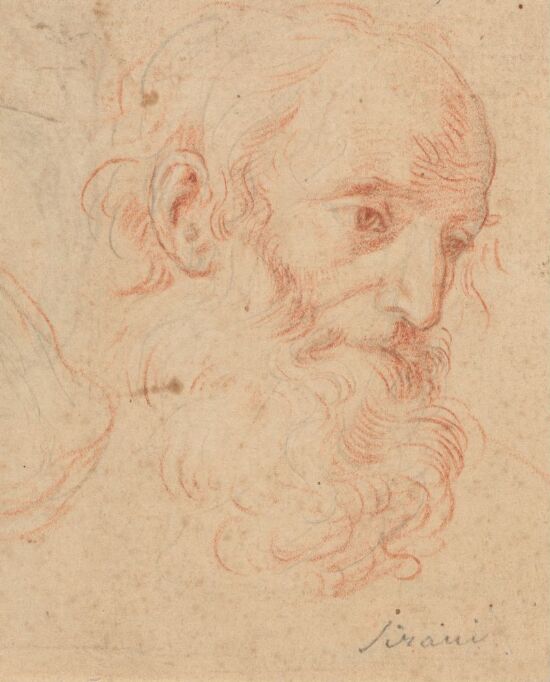 Head of a Bearded Old Man