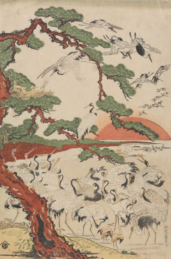 Traner og furutre i soloppgang