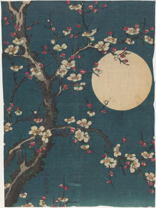 Blomstrende plommetre i fullmåne, kopi etter Kitao Masanobu