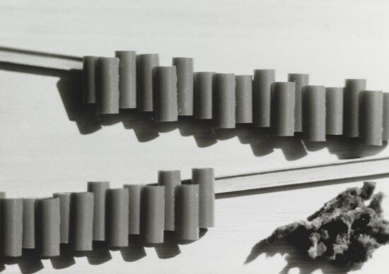 Utkast til hus av polyurethan