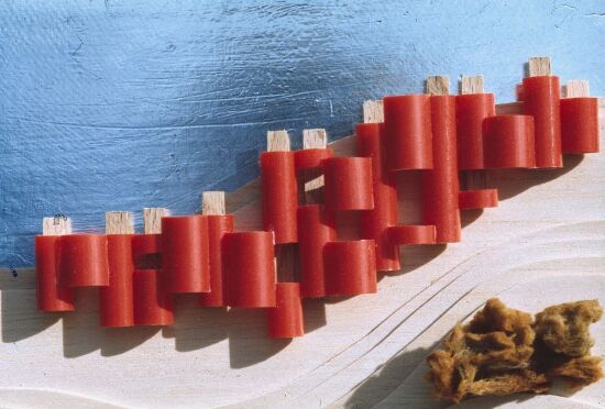 Utkast til hus av polyurethan