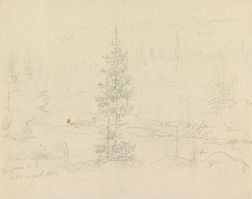 Granskog og elv