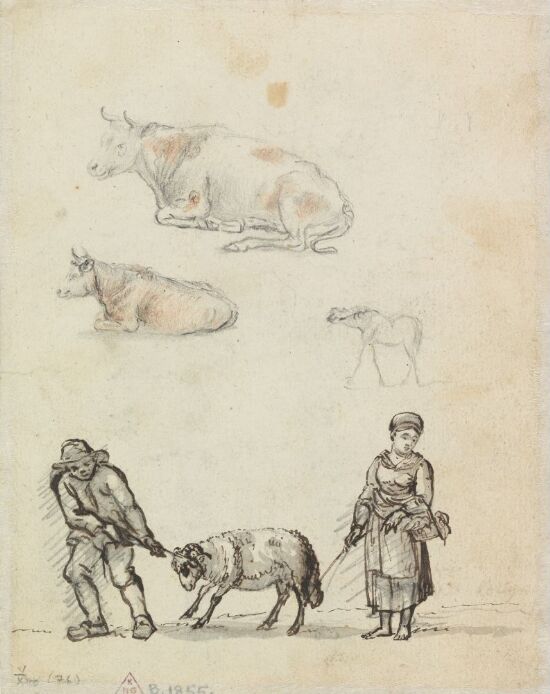 Figur- og dyrestudier