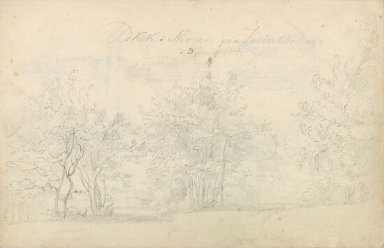 Fra skogen på Klintholm