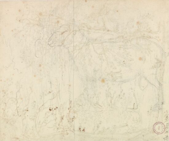 Dyre- og landskapsstudier