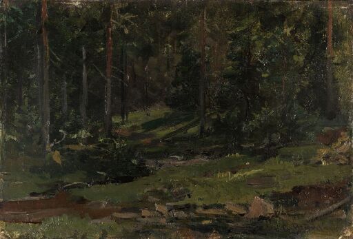 Wooded Landscape