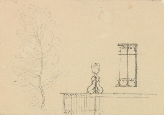 Løvtre; gjerde; vindu