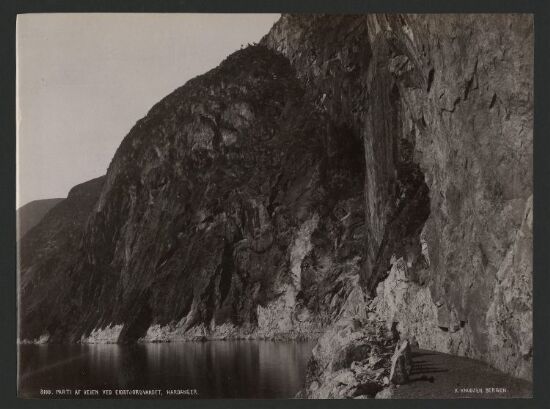 Parti af Veien ved Eidsfjordvandet, Hardanger