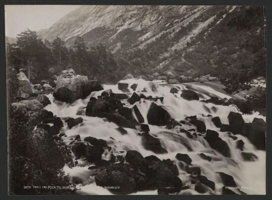 Parti fra Veien til Skjæggedalsfossen, Odde i Hardanger