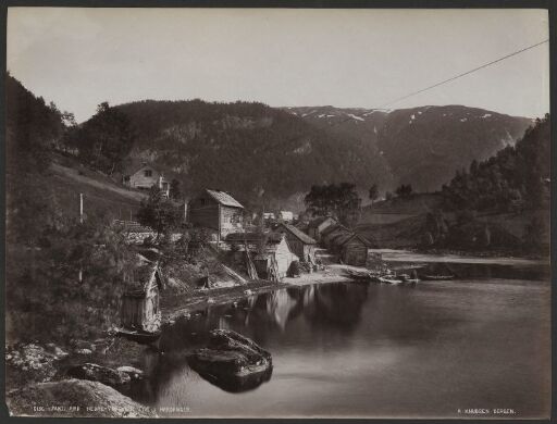 Parti fra Nedre Vasenden, Eide i Hardanger