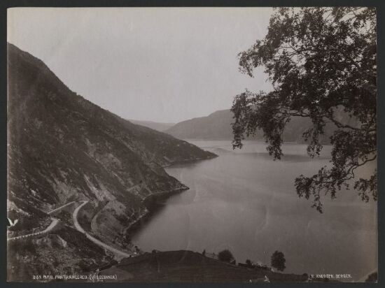 Parti fra Trængereid (Vossebanen)