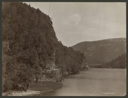 Parti af Veien ved Eide i Hardanger