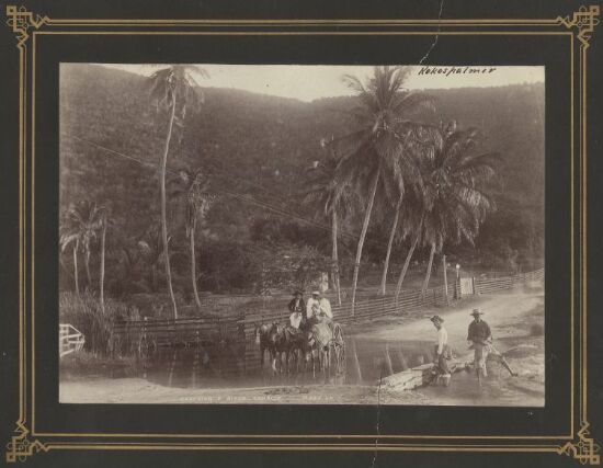 Crossing a River, Jamaica