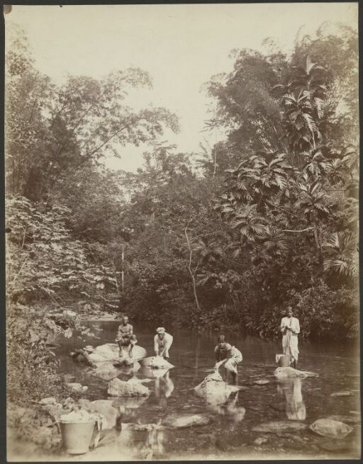 Martinique