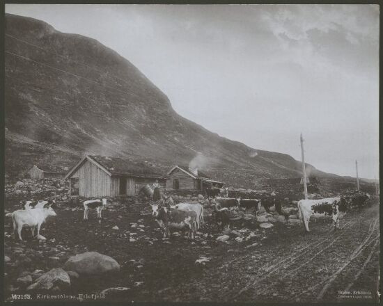 Kirkestølene, Filefjeld