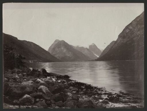 Parti fra Fjærland i Sogn