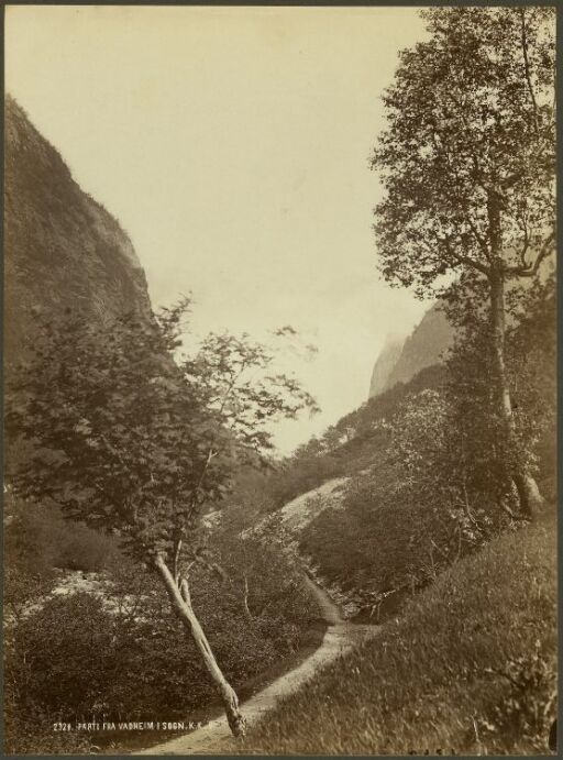 Parti fra Vadheim i Sogn