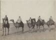 Caravane de Chameaux