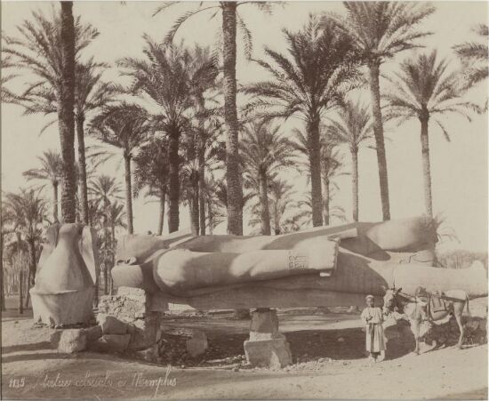 Statue colossale à Memphis