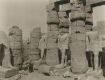 Luxor, le temple. Statues Ramses