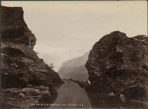 Parti mellem Skogstad og Tune i Valders