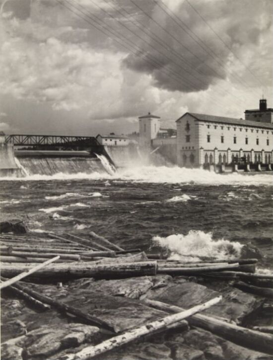 Hvite kull og skogens gull