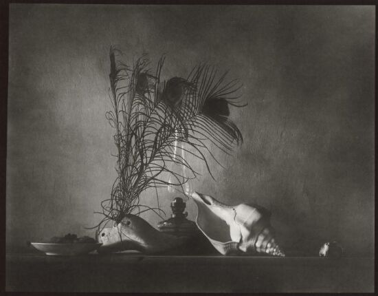 Still life after Caravaggio