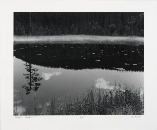 Refleksjon, Eggedal, 1977