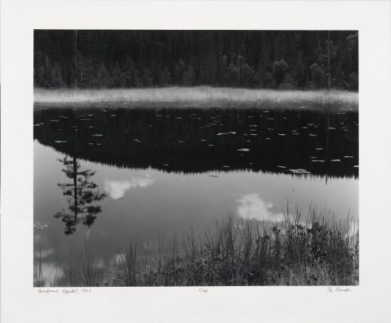 Refleksjon, Eggedal, 1977