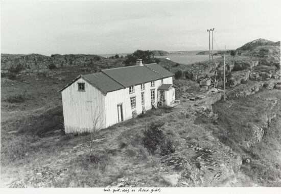 Wie gut, dass es Licht gibt