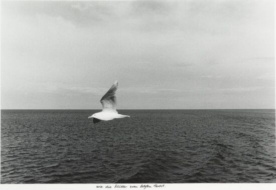 Wie die Blätter vom letzten Herbst