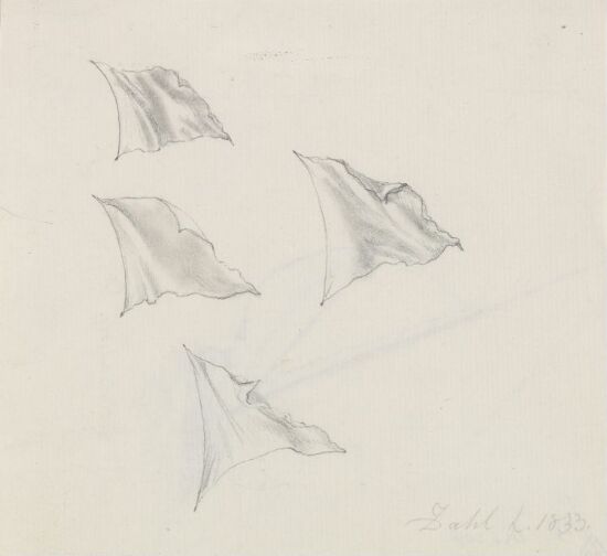 Fire studier av tøy som flagrer i vinden