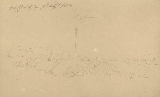 Strand med store steiner