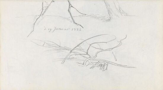 Studie av grener; del av trestamme