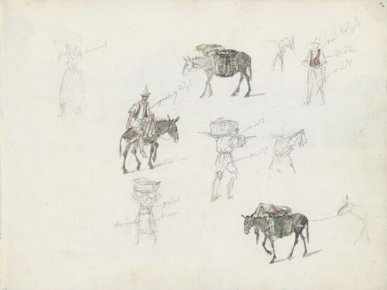 Figur- og dyrestudier