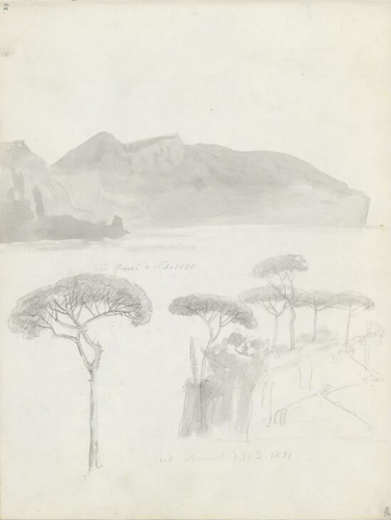 Parti fra Capris nordkyst; pinjer, Sorrento