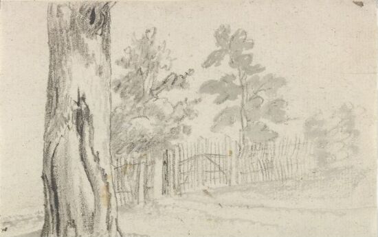 Trestamme, trær og gjerde