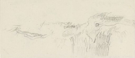 Skogbunn og trestamme