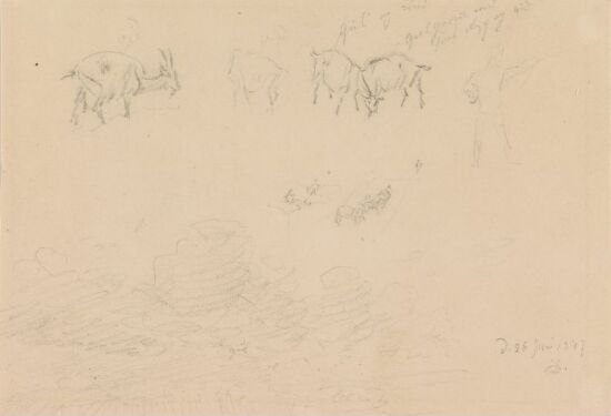 Stude av geiter og mannsfigur; skystudie