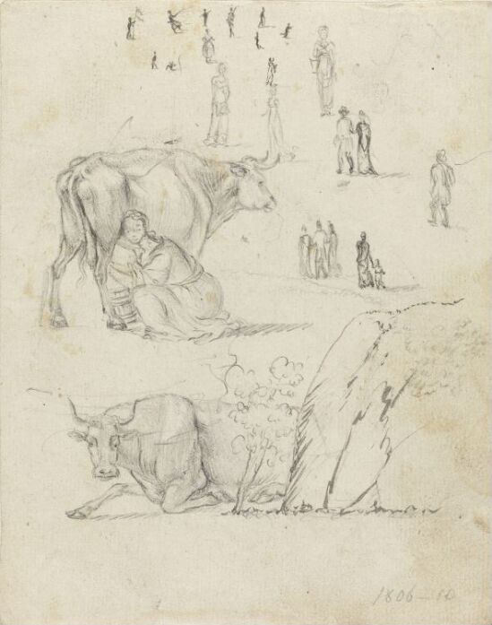 Dyre- og figurstudier