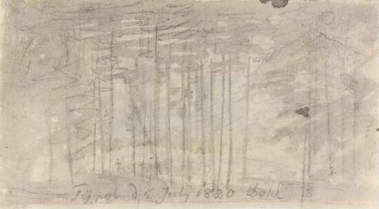 Skoginteriør, Oberbayern