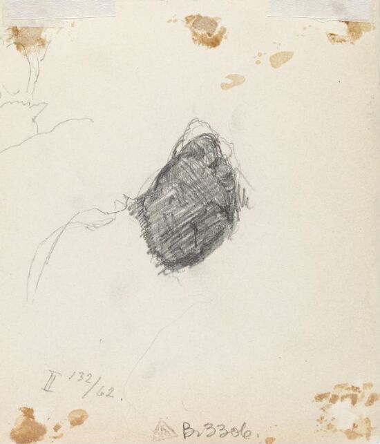 Skravert felt, kvinneansikt?