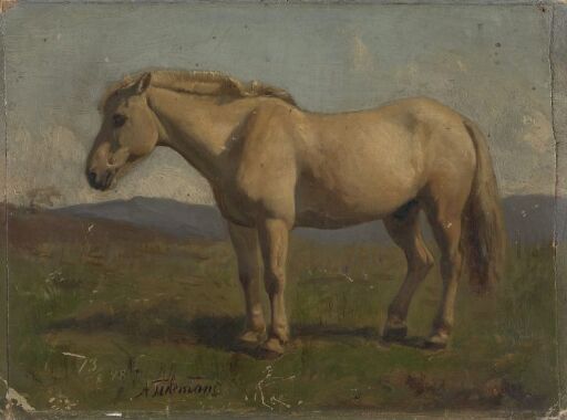 A dun Horse