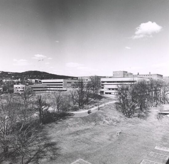 Kjemisk og fysisk institutt ved Universitetet i Oslo