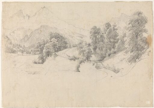 Alpine Landscape