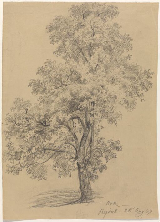 Ask, Rydal